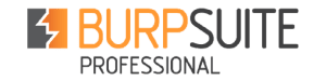 Ethical Hacking course in Kolkata 5 Digived Academy kisspng-burp-suite-penetration-test-vulnerability-proxy-se-5b2f0dfbc31b78.2522075915298104277992