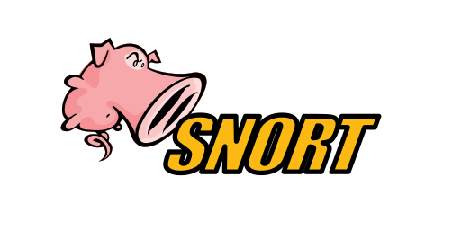 Ethical Hacking course in Kolkata 25 Digived Academy snort logo icon 167981 Digived Academy
